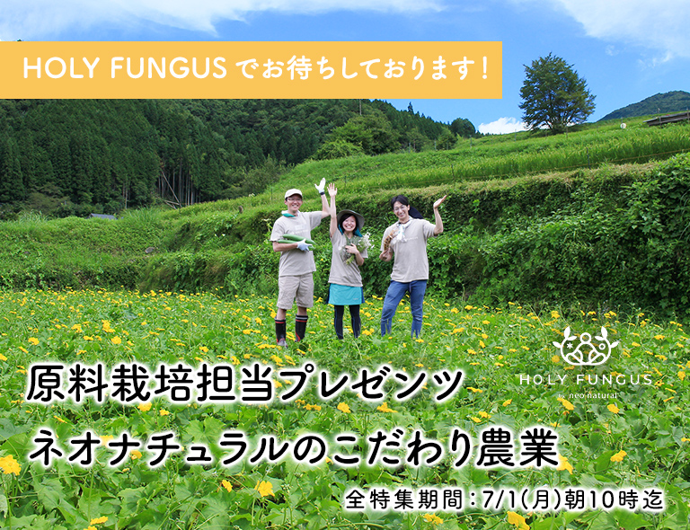 GW限定クーポンプレゼント