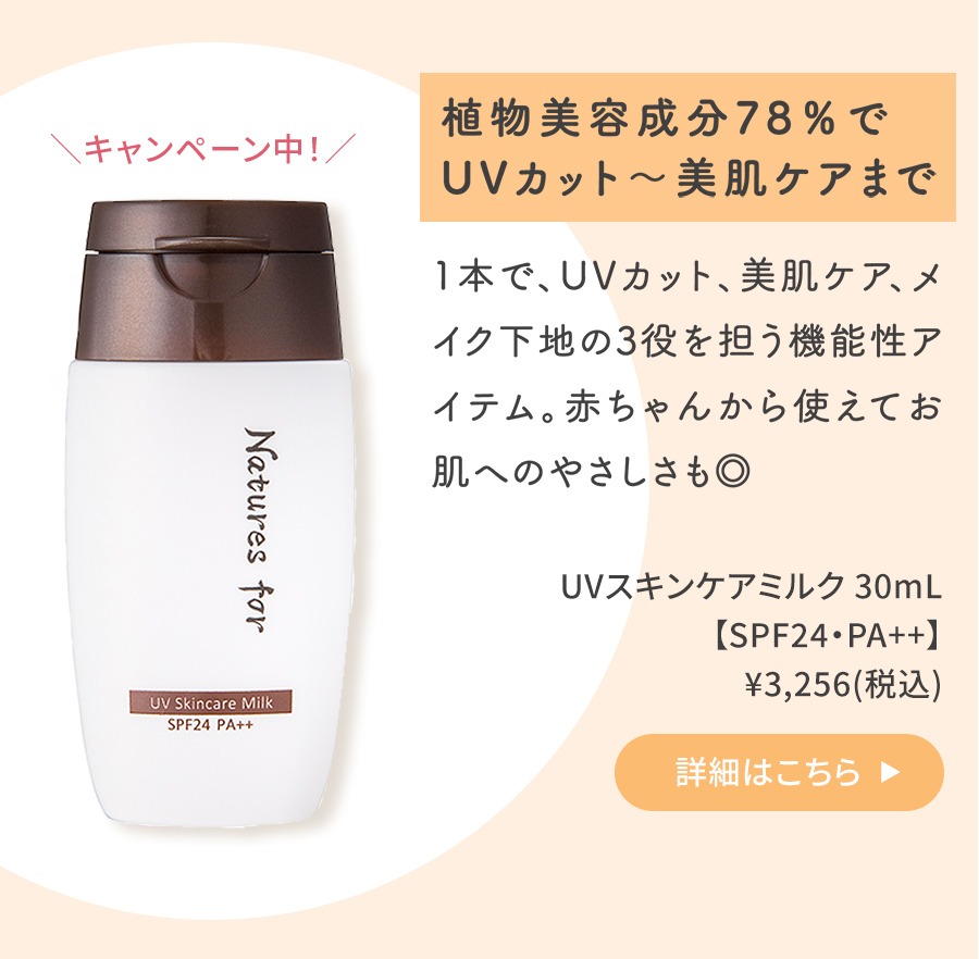 コラム