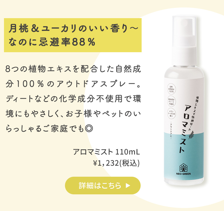 コラム
