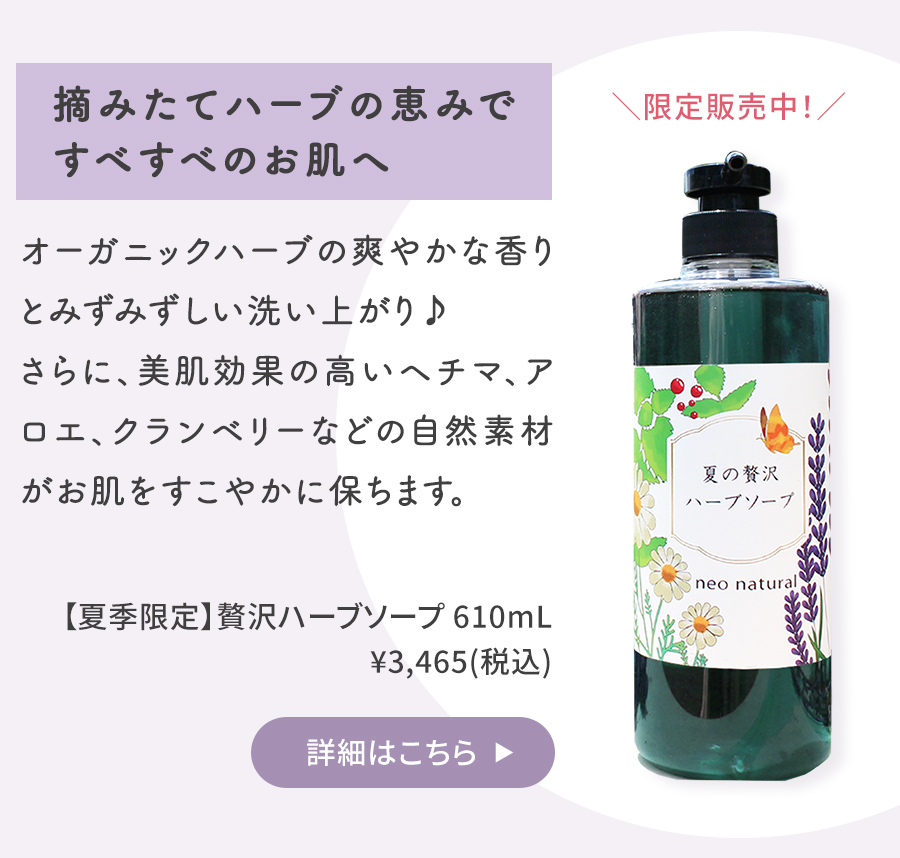 コラム