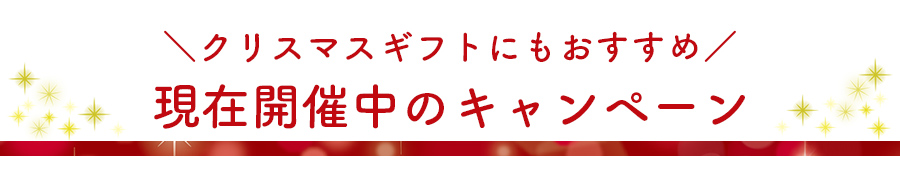 クリスマス開催中のイベント