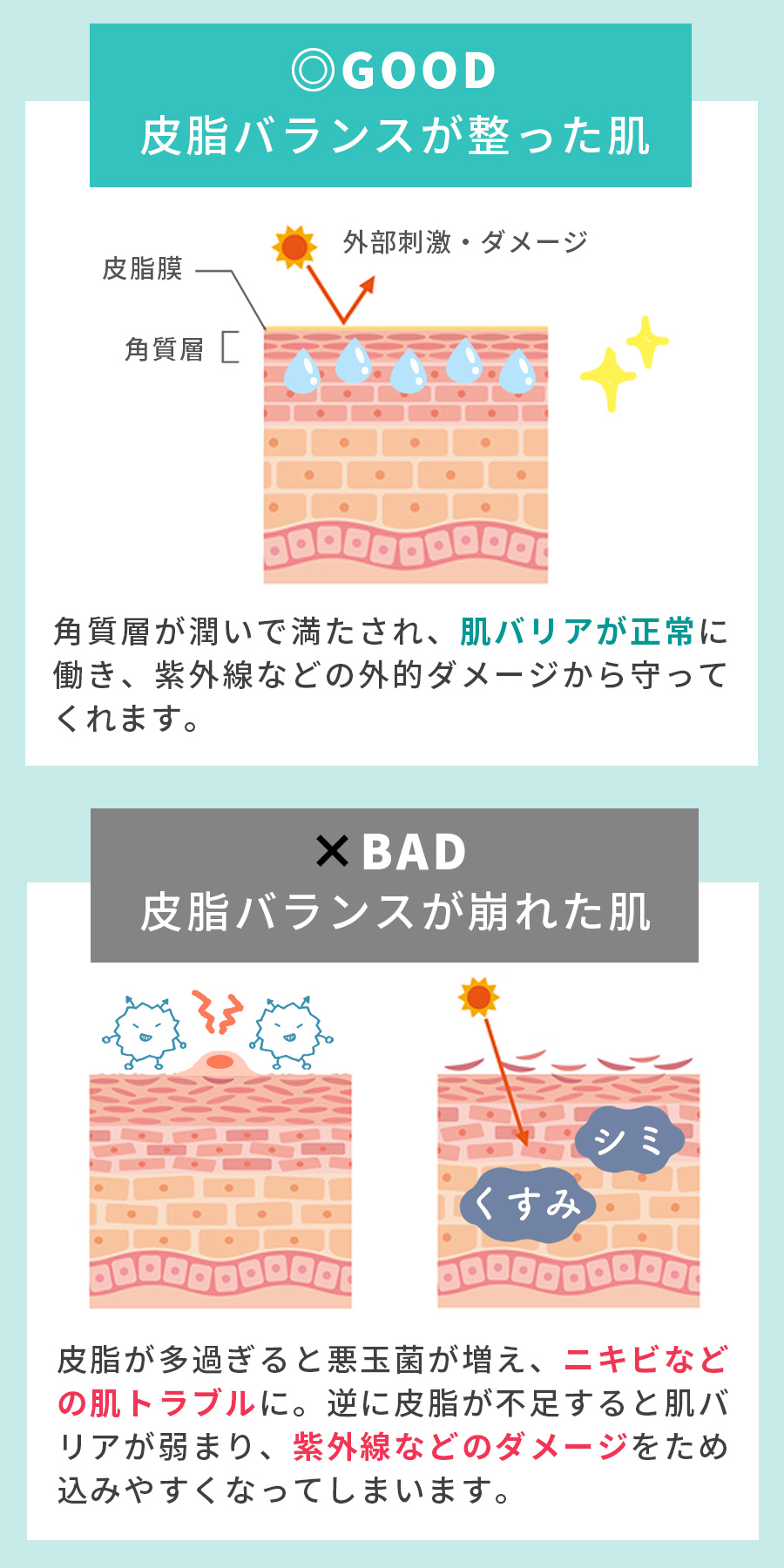皮脂バランス