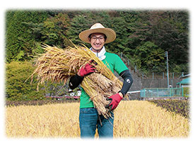 自社農場でスタッフが育てたお米を使用